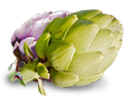 Artichoke