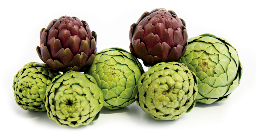 Artichoke