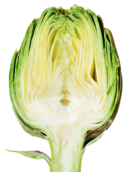 Artichoke